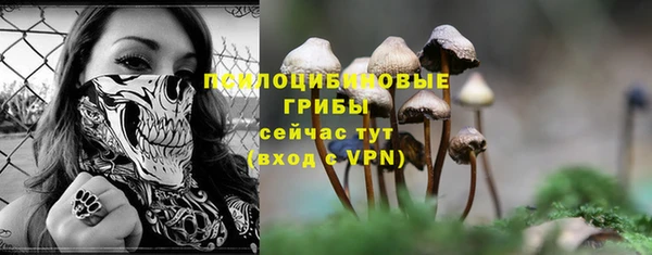 молекула духа Богородск