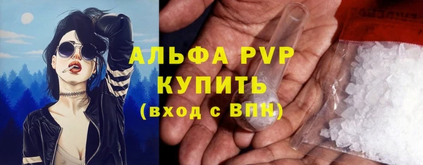 стаф Богданович
