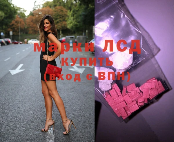 стаф Богданович