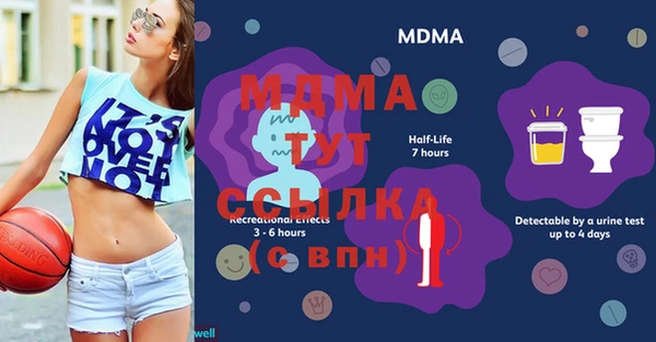 стаф Богданович
