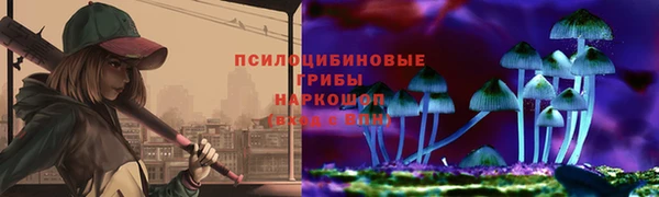 ПСИЛОЦИБИНОВЫЕ ГРИБЫ Богородицк