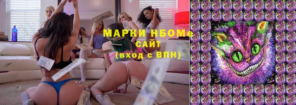 стаф Богданович