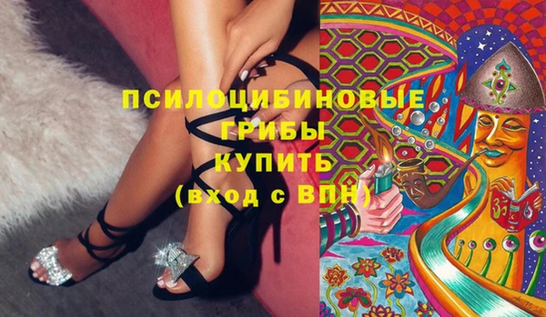 ПСИЛОЦИБИНОВЫЕ ГРИБЫ Богородицк
