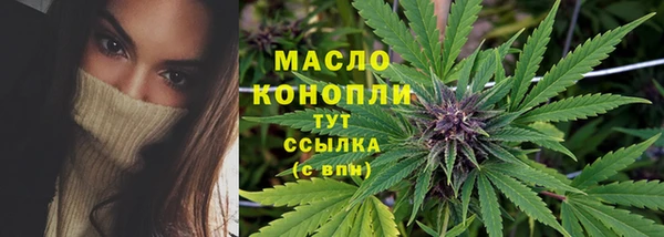 стаф Богданович