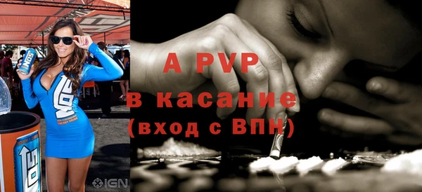 стаф Богданович