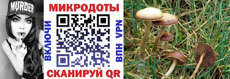 дарнет шоп  это официальный сайт  Псилоцибиновые грибы MAGIC MUSHROOMS  Малая Вишера 